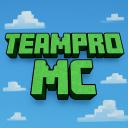 TeamPro MC Discord Server Banner