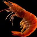 Weirdos & Rejects Discord Server Banner