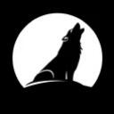 Lunar Wolf Legion Discord Server Banner