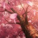 Geeks Discord Server Banner