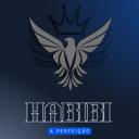 Habibi Hub Discord Server Banner