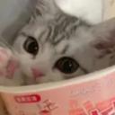 kitty cafe Discord Server Banner