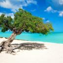 Travel Discord Server Banner