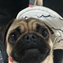 xhase’s server Discord Server Banner