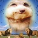 🌌 DISTRITO AURORA |  BRASIL Discord Server Banner