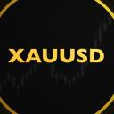 Trading Forex GOLD Discord Server Banner