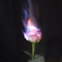 SOUL Guild Tag Discord Server Banner