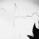 / fortune Discord Server Banner
