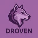 Droven Discord Server Banner