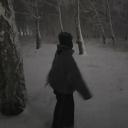 TSHE - The SnowHaven Empire! Discord Server Banner