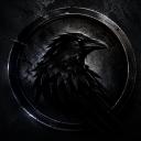 Raven Discord Server Banner