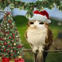 Michiwaos Discord Server Banner