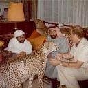 uae.breeE Discord Server Banner