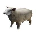 Crazy cattle competitive Discord Server Banner