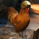 Zen Gaming Discord Server Banner