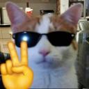 𝐁𝐢𝐠 𝐁𝐫𝐚𝐢𝐧🧠 Discord Server Banner