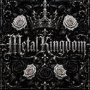 MetalKingdom Icon