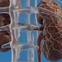 Anonymous Discord Server Banner