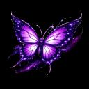 Vyxen Discord Server Banner