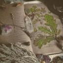 Enchantment & Spells Discord Server Banner