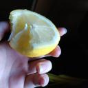 A server of idiots Discord Server Banner