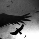 Whanss - BR Discord Server Banner