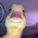 The Den :3 Discord Server Banner