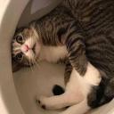 PeopleZ Discord Server Banner