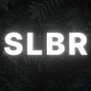 Supreme Leaks Baum Reborn Discord Server Banner