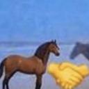 Plictiseala coaie Discord Server Banner