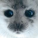 Xanax Discord Server Banner