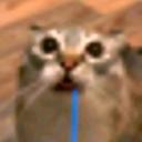 BBC (Broken Brain Cells) Discord Server Banner