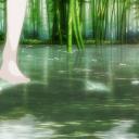 Serenity Sanctuary Discord Server Banner