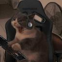 Sleepdealer 😎 Discord Server Banner