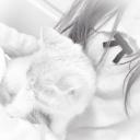 ༷　　　 ⁺　　　 ۪🐾　　　 ׅ Discord Server Banner