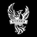 PARADISE Discord Server Banner