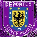Deportes Concepcion Wplace Discord Server Banner