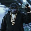 Monkeys 👑 Discord Server Banner