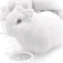 velouria Discord Server Banner