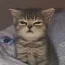 Antisocial Discord Server Banner