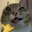 Meow Land Discord Server Banner