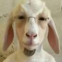 SK/CZ players Discord Server Banner