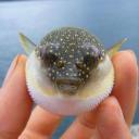 Gaming Time Discord Server Banner