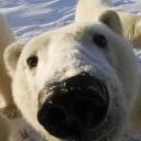 Убежище 89 Discord Server Banner