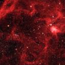 Digital Dynasty Hangout Discord Server Banner