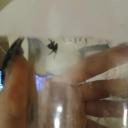 Mother Russia Discord Server Banner