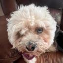 juicy lounge Discord Server Banner