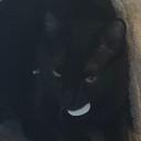 The Den Discord Server Banner