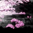 katana Discord Server Banner