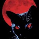 clown cult Discord Server Banner